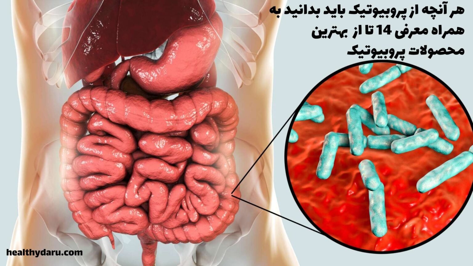 هلثی دارو